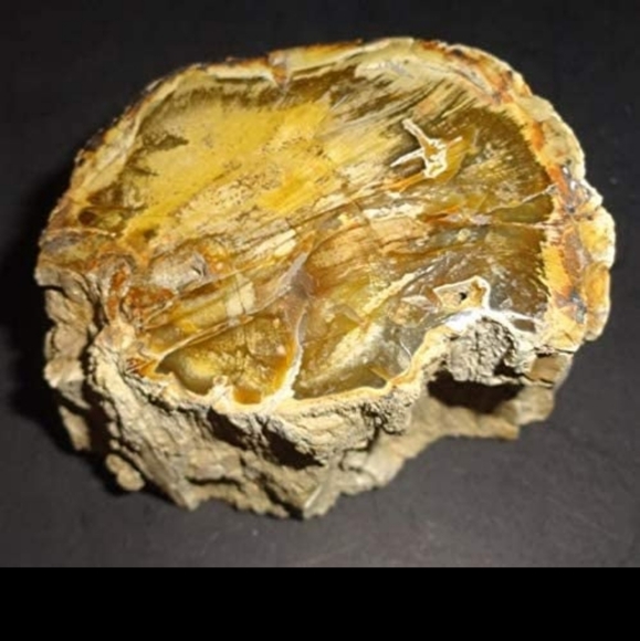 Petrified Fossilized Chunk of Wood with resin😍🤩 From the Ancients - Picture 3 of 7